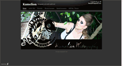 Desktop Screenshot of kamelionen.artworkfolio.com